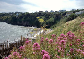 Beaches and Coastlines